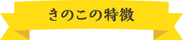 きのこの特徴