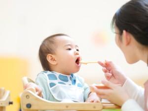 離乳食と補完食